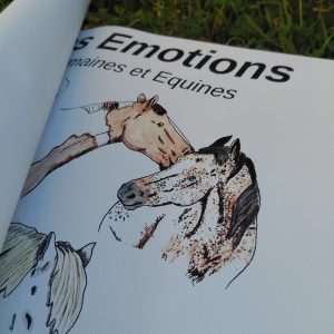 Banderole Vinyle "Emotions Equines et Humaines" - 50x100cm