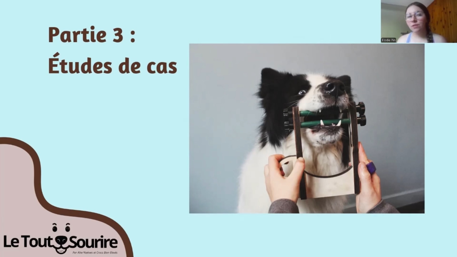 Vidéo Pédagogique "Le Tout Sourire" – Image 2