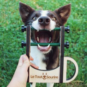 Outil de soins coopératifs "Le Tout Sourire"