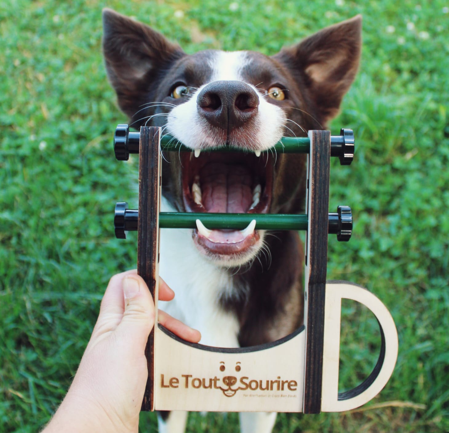 Outil de soins coopératifs "Le Tout Sourire"