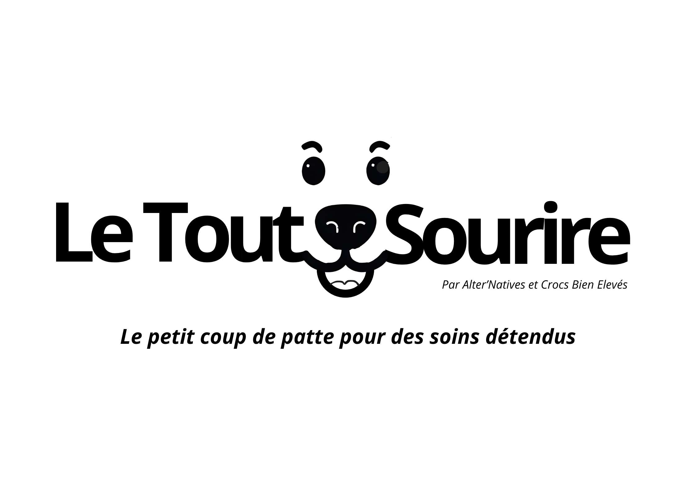 Vidéo Pédagogique "Le Tout Sourire"