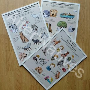 Affiches pédagogiques A3 sur le chien (émotions, observation, besoins)