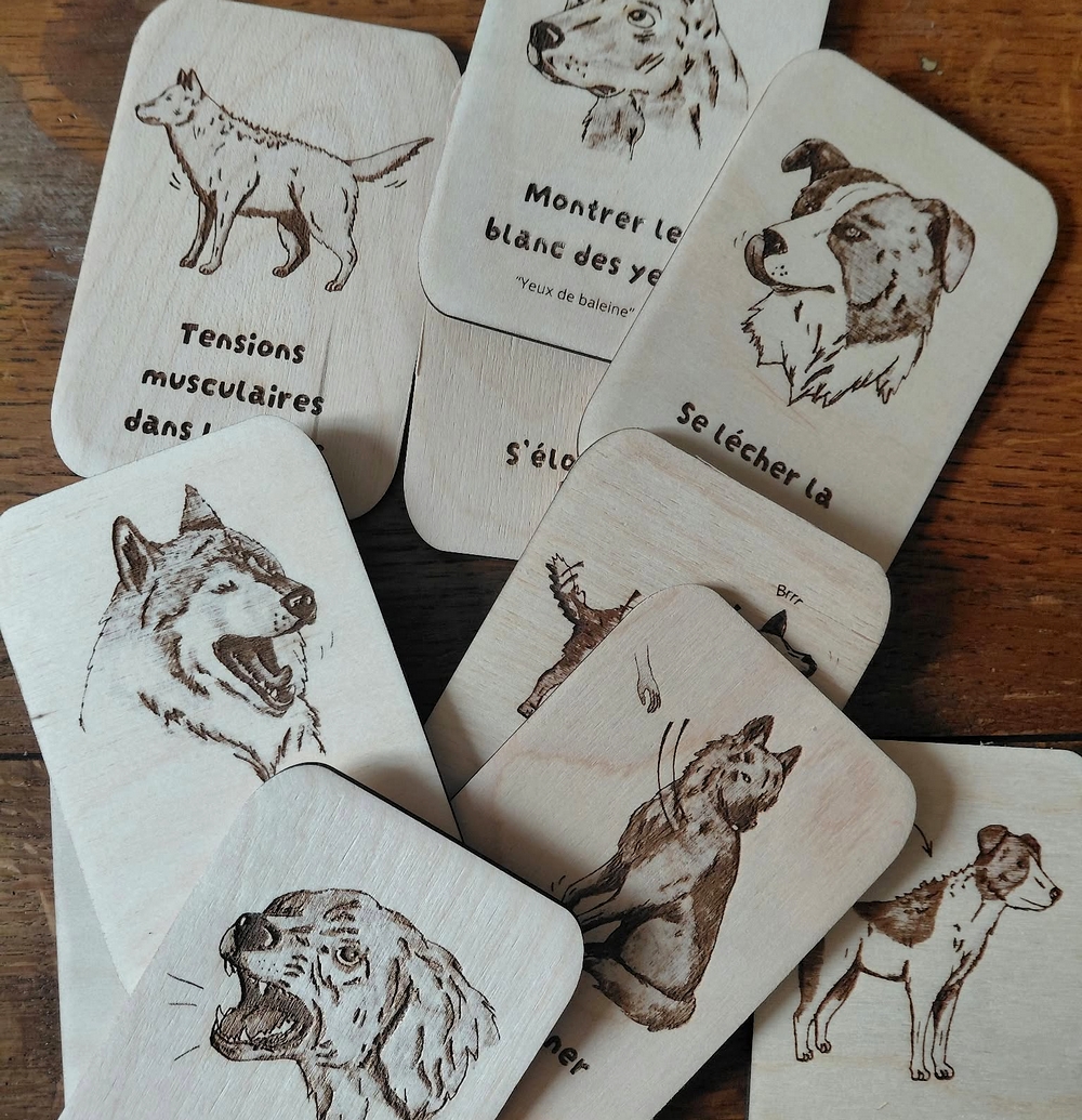 10 Cartes - Indices d'inconfort chez le chien – Image 2