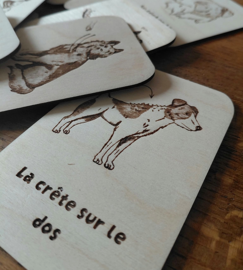 10 Cartes - Indices d'inconfort chez le chien – Image 4